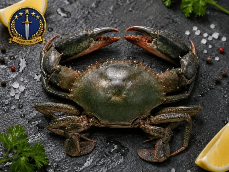 Mud Crab (Kekra)