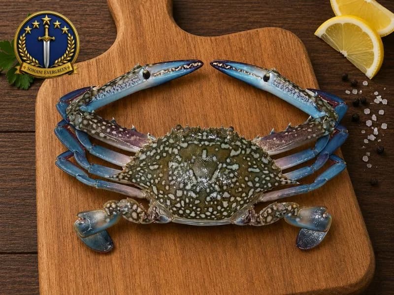 Blue Crab