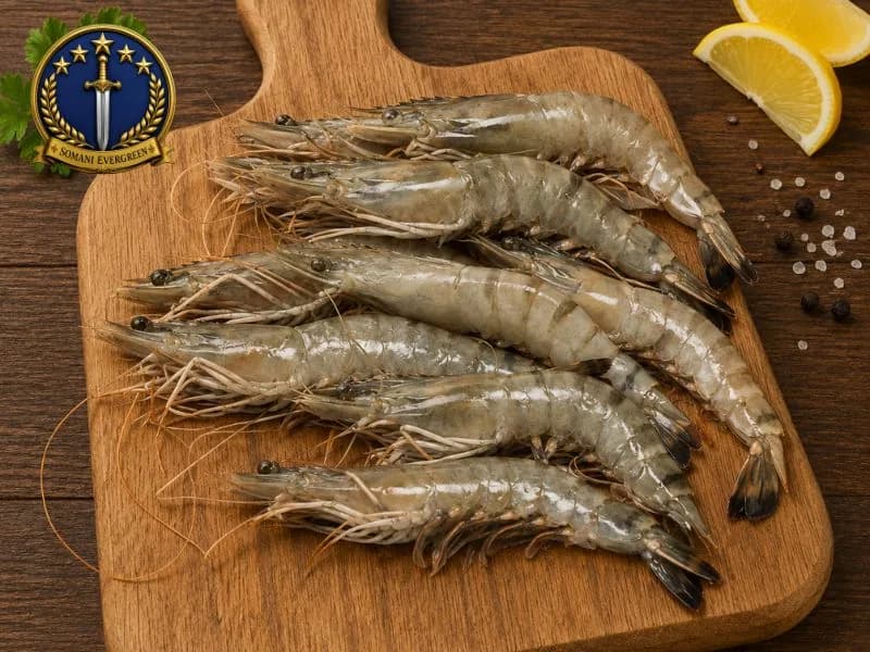 Jumbo Prawn
