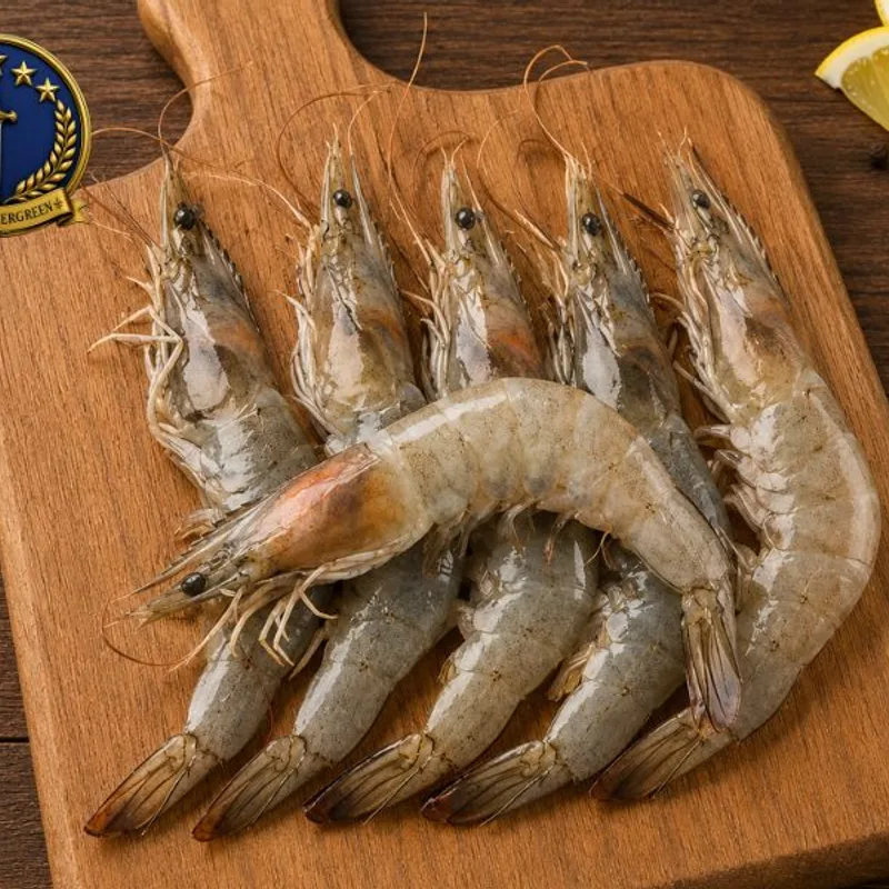 Medium Prawn